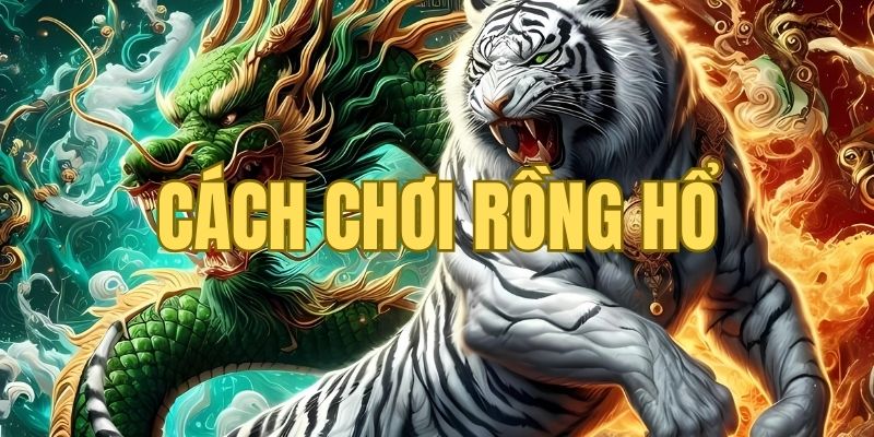 Luật chơi rồng hổ đầy đủ và chi tiết nhất cho người mới 